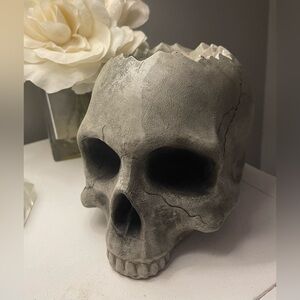 Skull planter pot